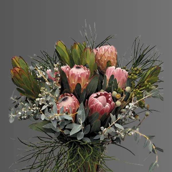 Native Flowers