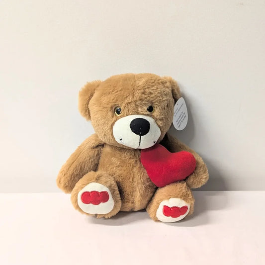 Teddy Holding Heart